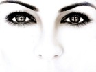 oog